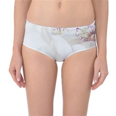 Orchids Flowers White Background Mid-waist Bikini Bottoms by BangZart