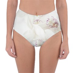 Orchids Flowers White Background Reversible High-waist Bikini Bottoms by BangZart