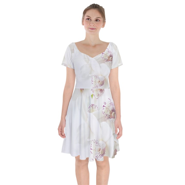 Orchids Flowers White Background Short Sleeve Bardot Dress