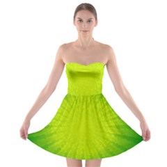 Radial Green Crystals Crystallize Strapless Bra Top Dress by BangZart