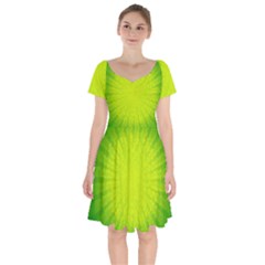 Radial Green Crystals Crystallize Short Sleeve Bardot Dress