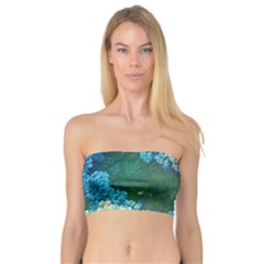 Fractal Formula Abstract Backdrop Bandeau Top by BangZart