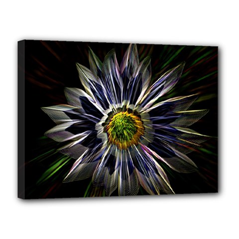 Flower Structure Photo Montage Canvas 16  X 12  by BangZart