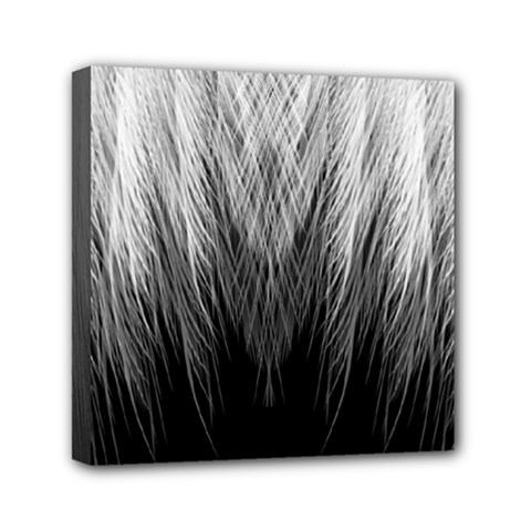 Feather Graphic Design Background Mini Canvas 6  X 6  by BangZart