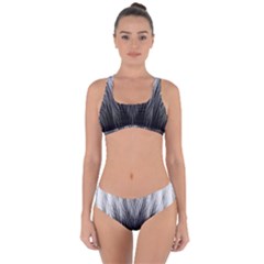 Feather Graphic Design Background Criss Cross Bikini Set