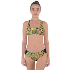 Unusual Peacock Drawn With Flame Lines Criss Cross Bikini Set