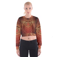 The Rusty Red Fractal Scarab Of Fiery Old Man Ra Cropped Sweatshirt by jayaprime