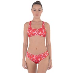 Small Flowers Pattern Floral Seamless Pattern Vector Criss Cross Bikini Set