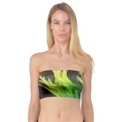 A Seaweed s Deepdream Of Faded Fractal Fall Colors Bandeau Top by jayaprime