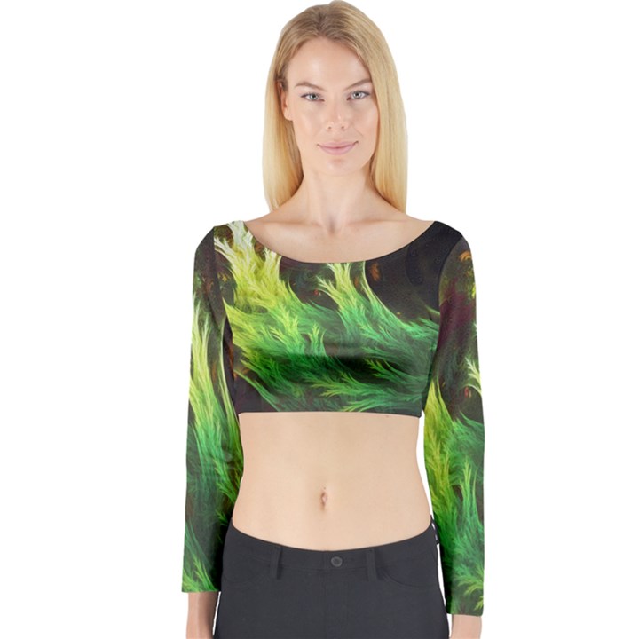 A Seaweed s DeepDream of Faded Fractal Fall Colors Long Sleeve Crop Top