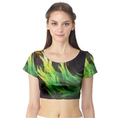 A Seaweed s Deepdream Of Faded Fractal Fall Colors Short Sleeve Crop Top (tight Fit) by jayaprime