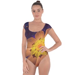 Beautiful Violet & Peach Primrose Fractal Flowers Short Sleeve Leotard  by jayaprime