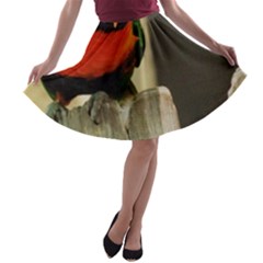 I See You A-line Skater Skirt by CreatedByMeVictoriaB