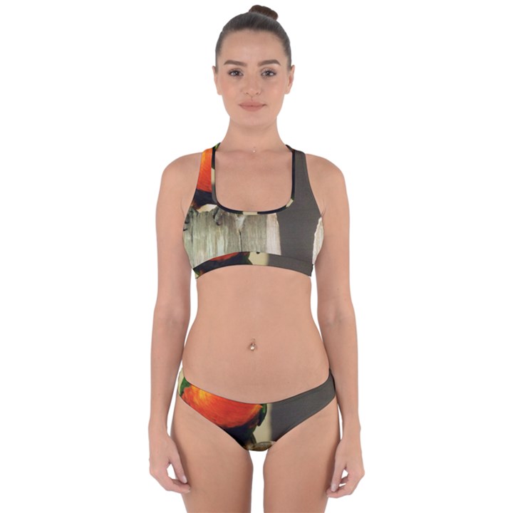 I See You Cross Back Hipster Bikini Set