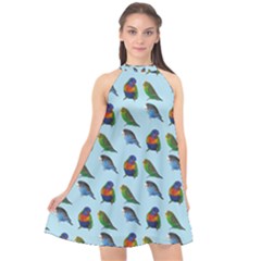 Blue Birds Parrot Pattern Halter Neckline Chiffon Dress  by paulaoliveiradesign