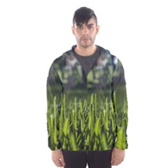 Green Grass Field Hooded Wind Breaker (men) by paulaoliveiradesign