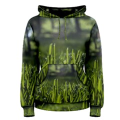 Green Grass Field Women s Pullover Hoodie