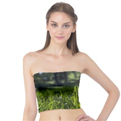 Green Grass Field Tube Top by paulaoliveiradesign