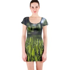 Green Grass Field Short Sleeve Bodycon Dress by paulaoliveiradesign