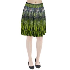 Green Grass Field Pleated Skirt