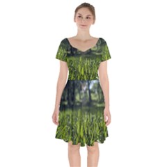 Green Grass Field Short Sleeve Bardot Dress