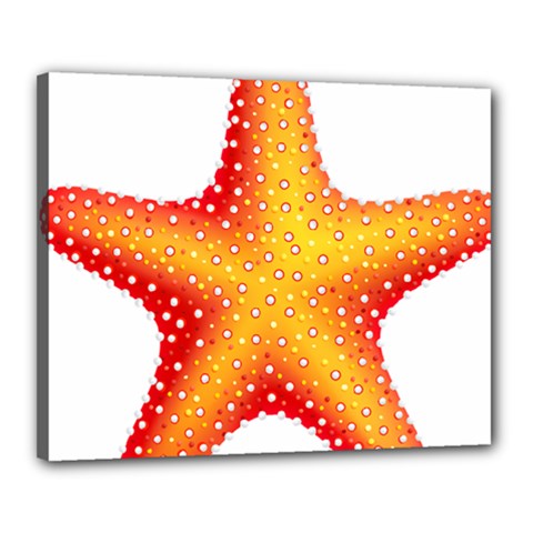 Starfish Canvas 20  X 16  by BangZart