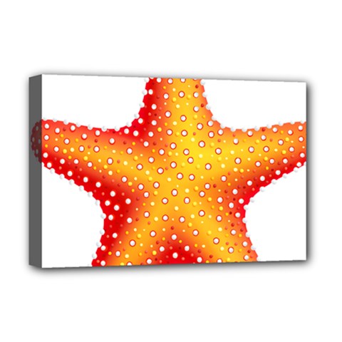 Starfish Deluxe Canvas 18  X 12   by BangZart