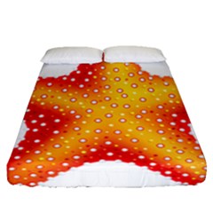 Starfish Fitted Sheet (queen Size) by BangZart