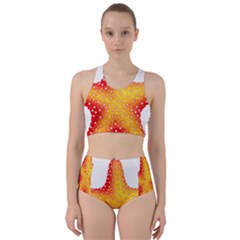 Starfish Bikini Swimsuit Spa Swimsuit 