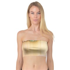 Sea Shell Pattern Bandeau Top