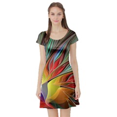 Fractal Bird Of Paradise Short Sleeve Skater Dress by WolfepawFractals