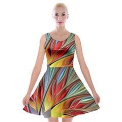 Fractal Bird Of Paradise Velvet Skater Dress