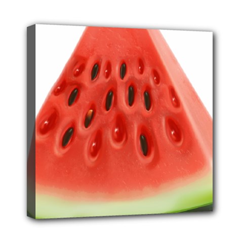 Piece Of Watermelon Mini Canvas 8  X 8  by BangZart