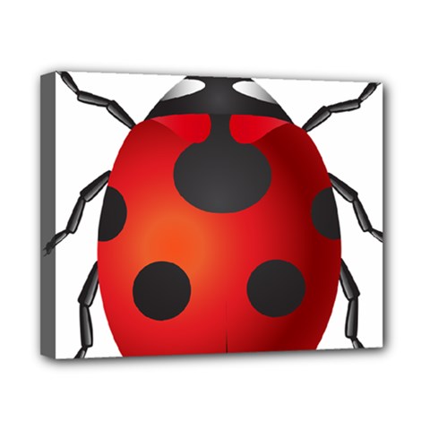 Ladybug Insects Canvas 10  X 8  by BangZart