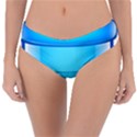 Large Water Bottle Reversible Classic Bikini Bottoms View1