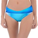 Large Water Bottle Reversible Classic Bikini Bottoms View3