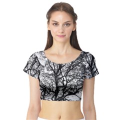 Tree Fractal Short Sleeve Crop Top (tight Fit) by BangZart