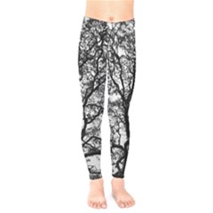 Tree Fractal Kids  Legging by BangZart