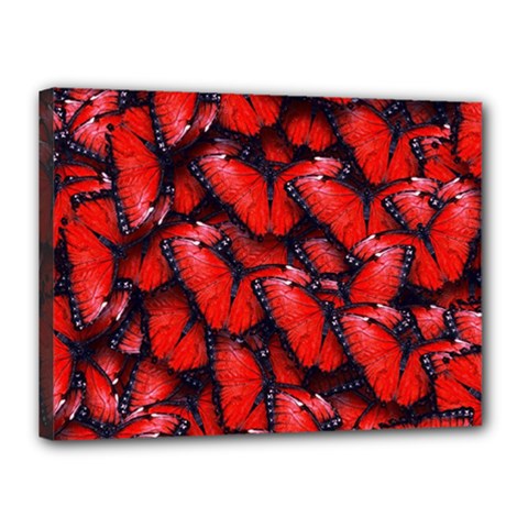 The Red Butterflies Sticking Together In The Nature Canvas 16  X 12  by BangZart