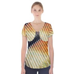 Technology Circuit Short Sleeve Front Detail Top by BangZart