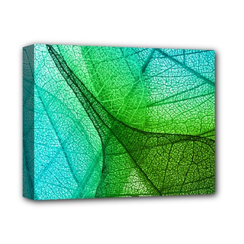 Sunlight Filtering Through Transparent Leaves Green Blue Deluxe Canvas 14  X 11 