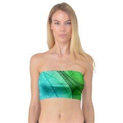 Sunlight Filtering Through Transparent Leaves Green Blue Bandeau Top by BangZart