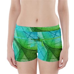 Sunlight Filtering Through Transparent Leaves Green Blue Boyleg Bikini Wrap Bottoms by BangZart