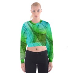 Sunlight Filtering Through Transparent Leaves Green Blue Cropped Sweatshirt by BangZart