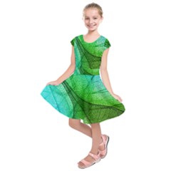 Sunlight Filtering Through Transparent Leaves Green Blue Kids  Short Sleeve Dress by BangZart