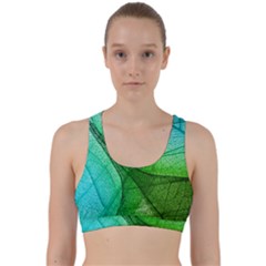 Sunlight Filtering Through Transparent Leaves Green Blue Back Weave Sports Bra