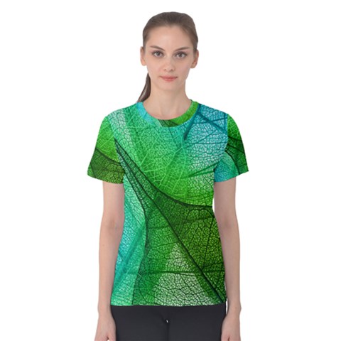 Sunlight Filtering Through Transparent Leaves Green Blue Women s Cotton Tee by BangZart