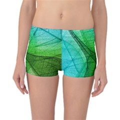 Sunlight Filtering Through Transparent Leaves Green Blue Boyleg Bikini Bottoms by BangZart