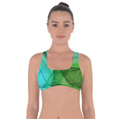 Sunlight Filtering Through Transparent Leaves Green Blue Got No Strings Sports Bra by BangZart