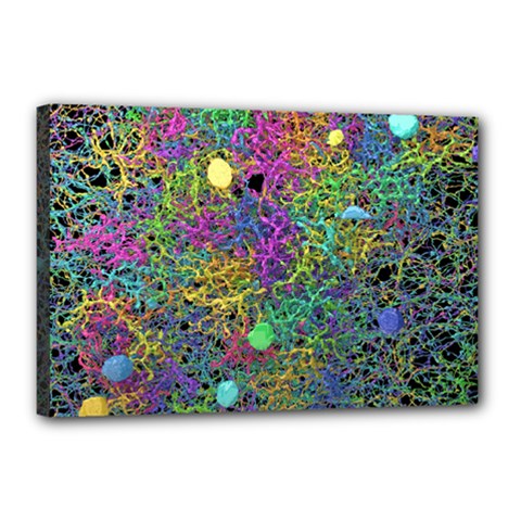 Starbursts Biploar Spring Colors Nature Canvas 18  X 12  by BangZart